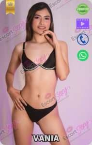 Icono full